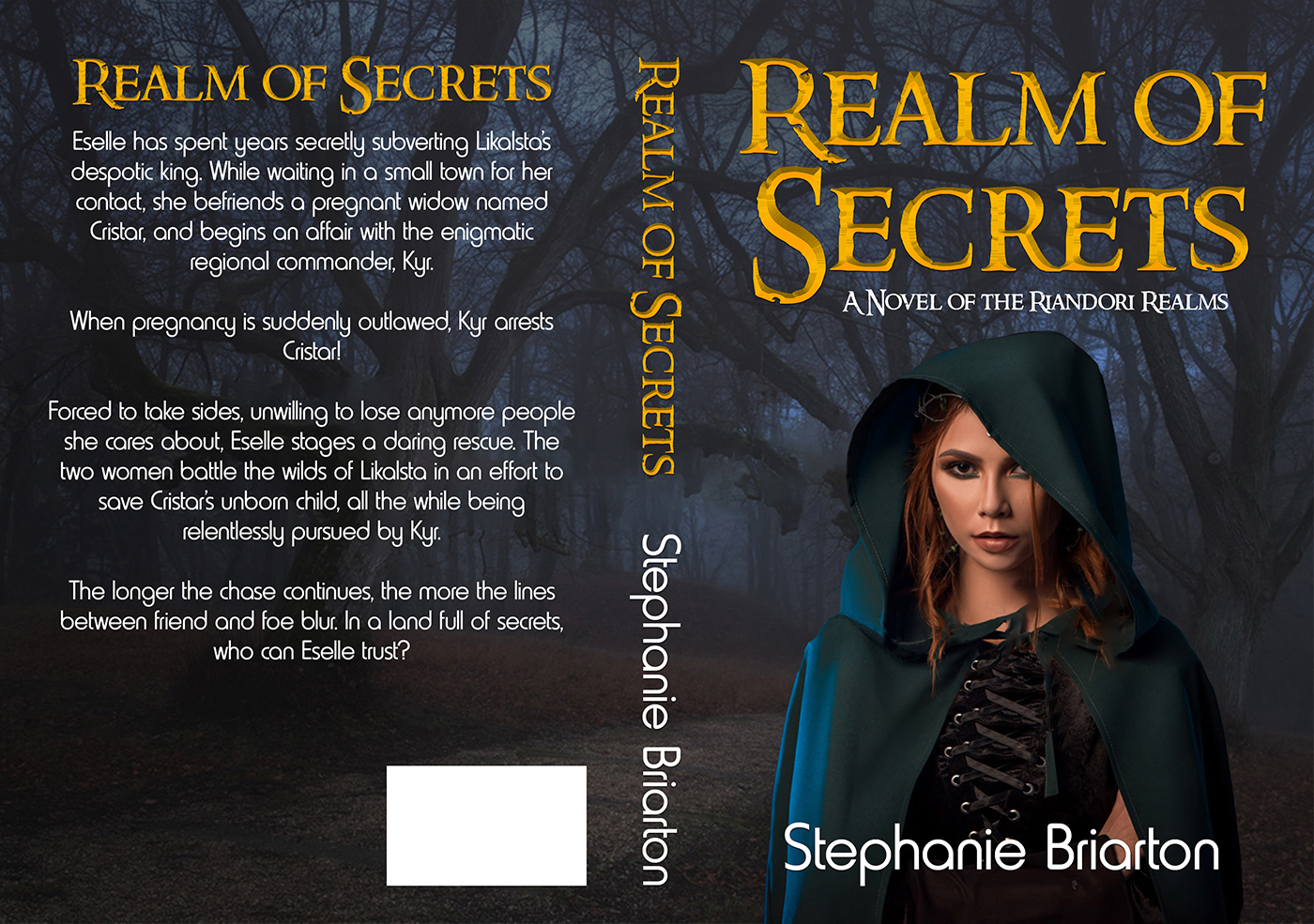 Book Cover Design by MarcoLax DZ for this project | Design: #23709577