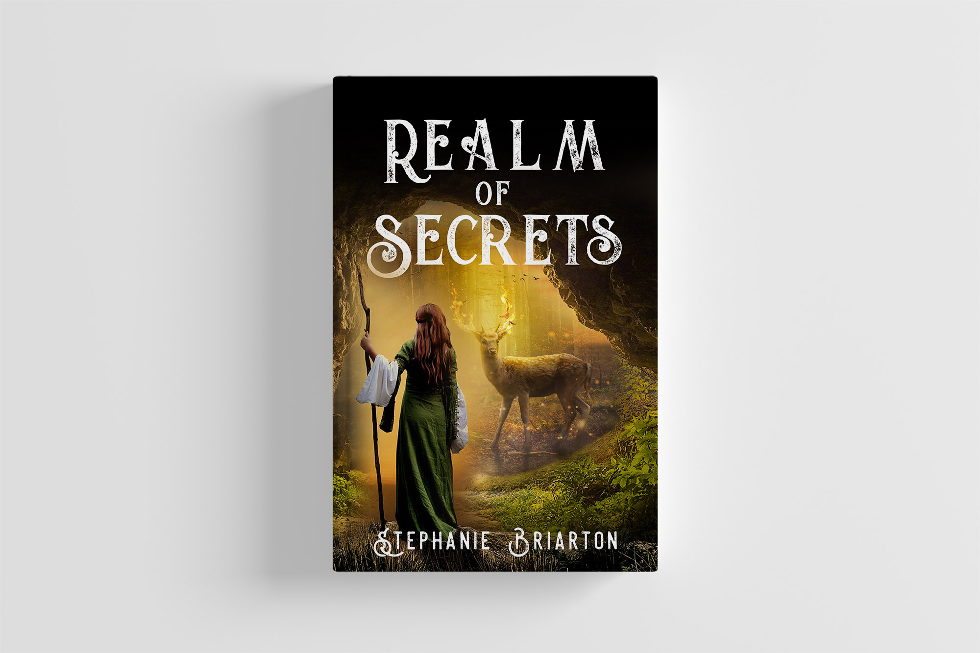 Book Cover Design by wolfwud for this project | Design #23656804