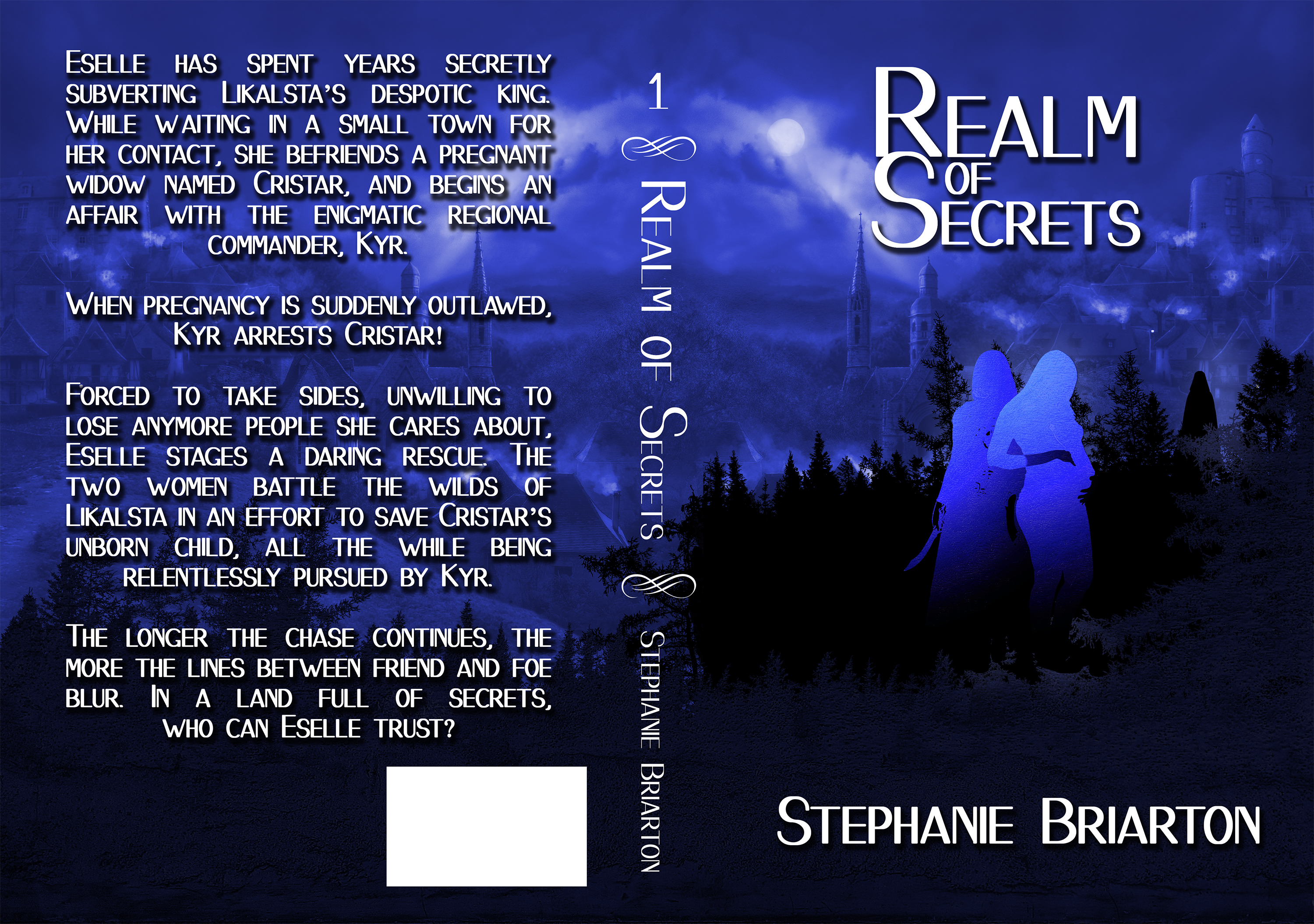 Book Cover Design by Svitlana Fox for this project | Design #23704445