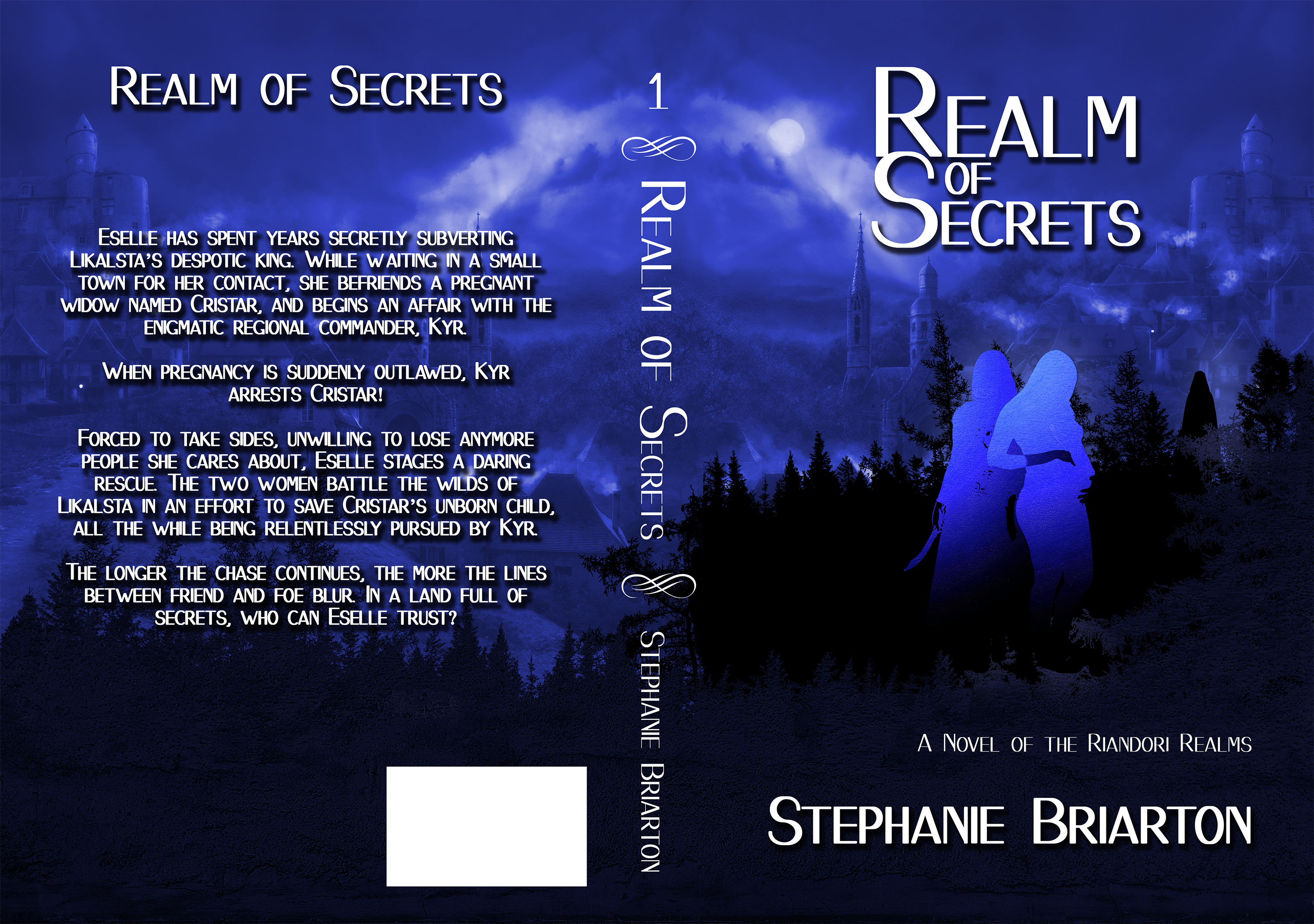 Book Cover Design by Svitlana Fox for this project | Design #23717729