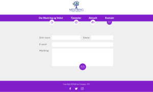 Web Design by Max 17