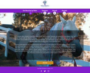 Web Design by Max 17 for this project | Design: #23682754