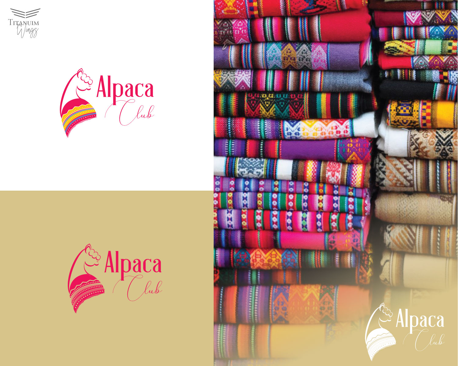 Logo Design by titanium wings for this project | Design #23665183