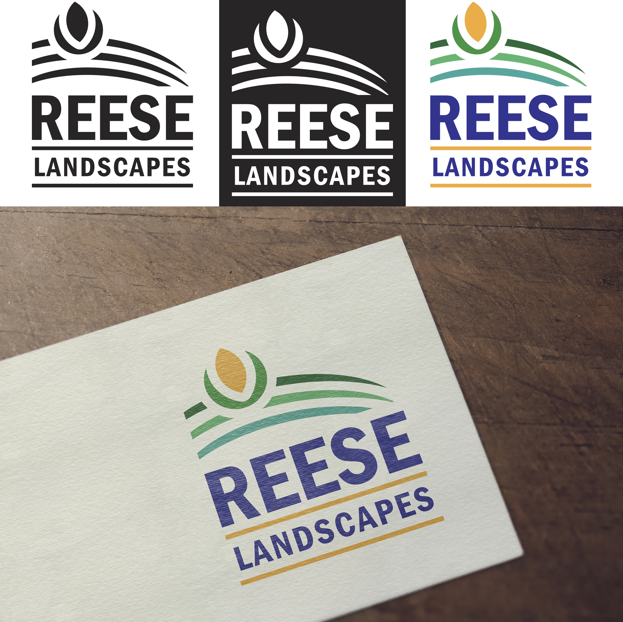 Logo Design by Mackoys for this project | Design #23650425
