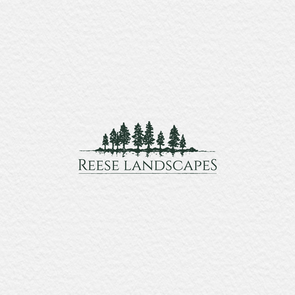 Design de Logo par Saruar360 pour ce projet | Design #23643381