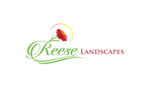 Logo Design by GODDREAMCREATION for this project | Design #23645502