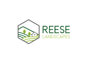 Logo Design by ompratapsinha 2 for this project | Design #23656611