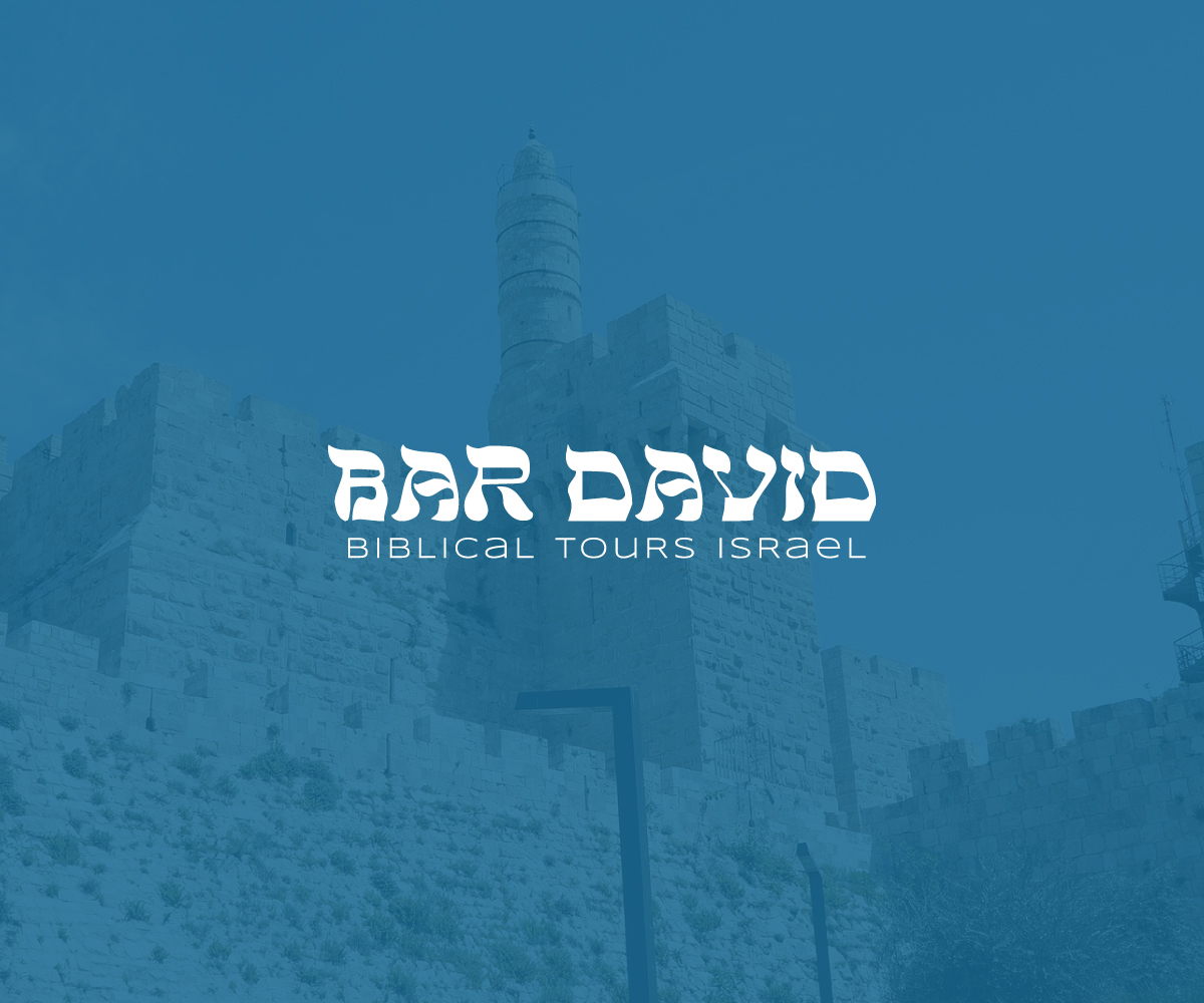 Logo-Design von StalkerV für bar david tours  | Design #23645100