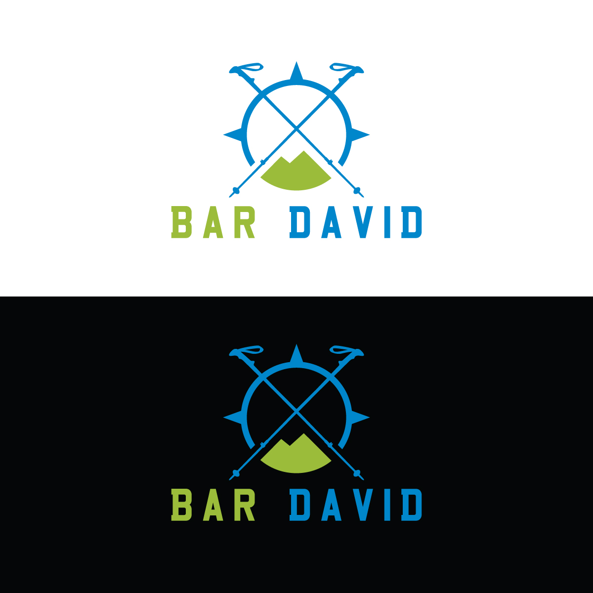 Logo Design by prodesigns99 for bar david tours  | Design #23642932
