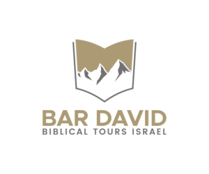 BAR DAVID | Diseño de Logo por lexipej