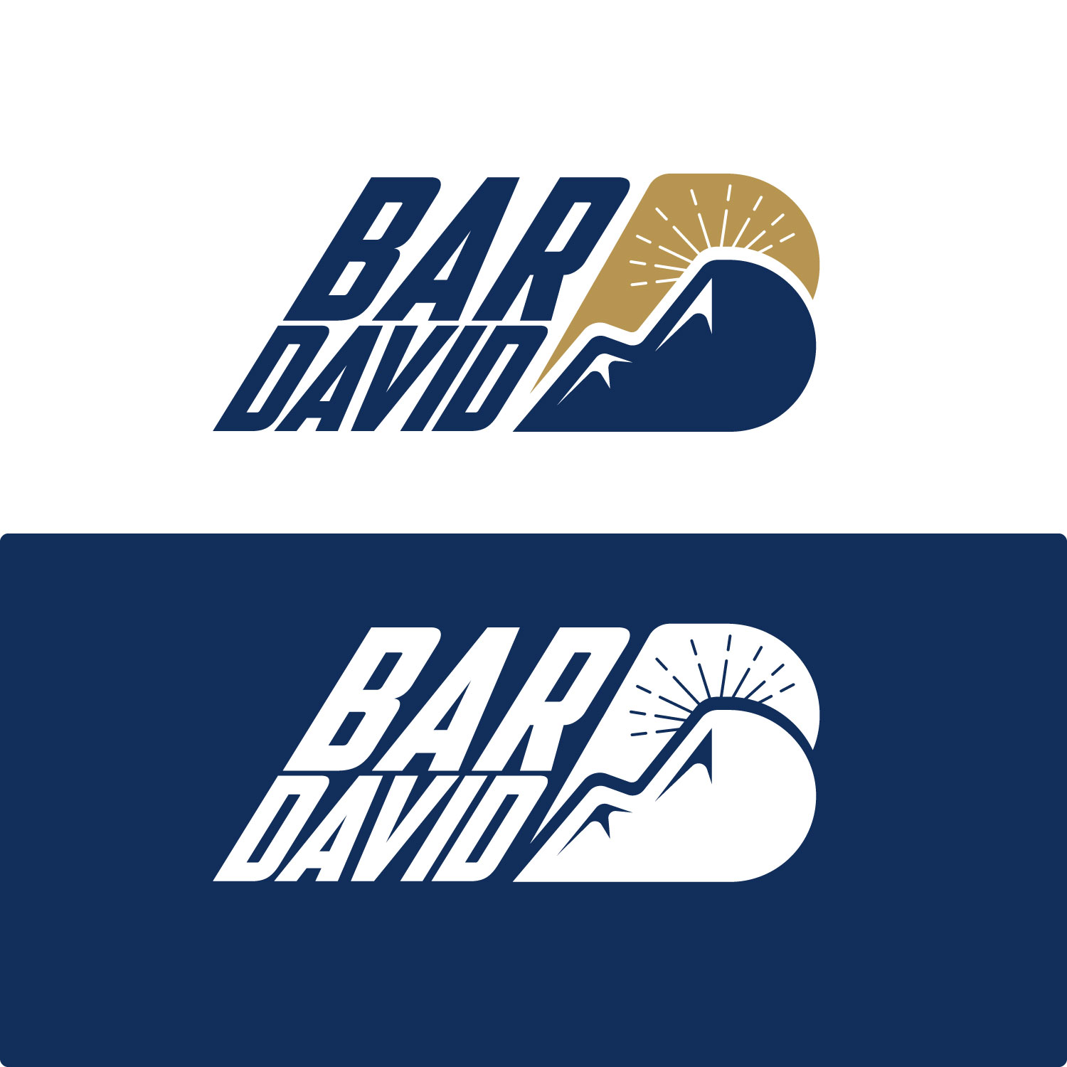 Logo Design by Tridente Studio for bar david tours  | Design #23643515