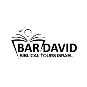 Logo Design by geni for bar david tours  | Design #23676564
