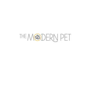 Logo Design by annelada96