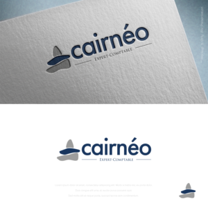 Logo Design by designbysy for CAIRNEO EXPERTISE | Design: #23660144