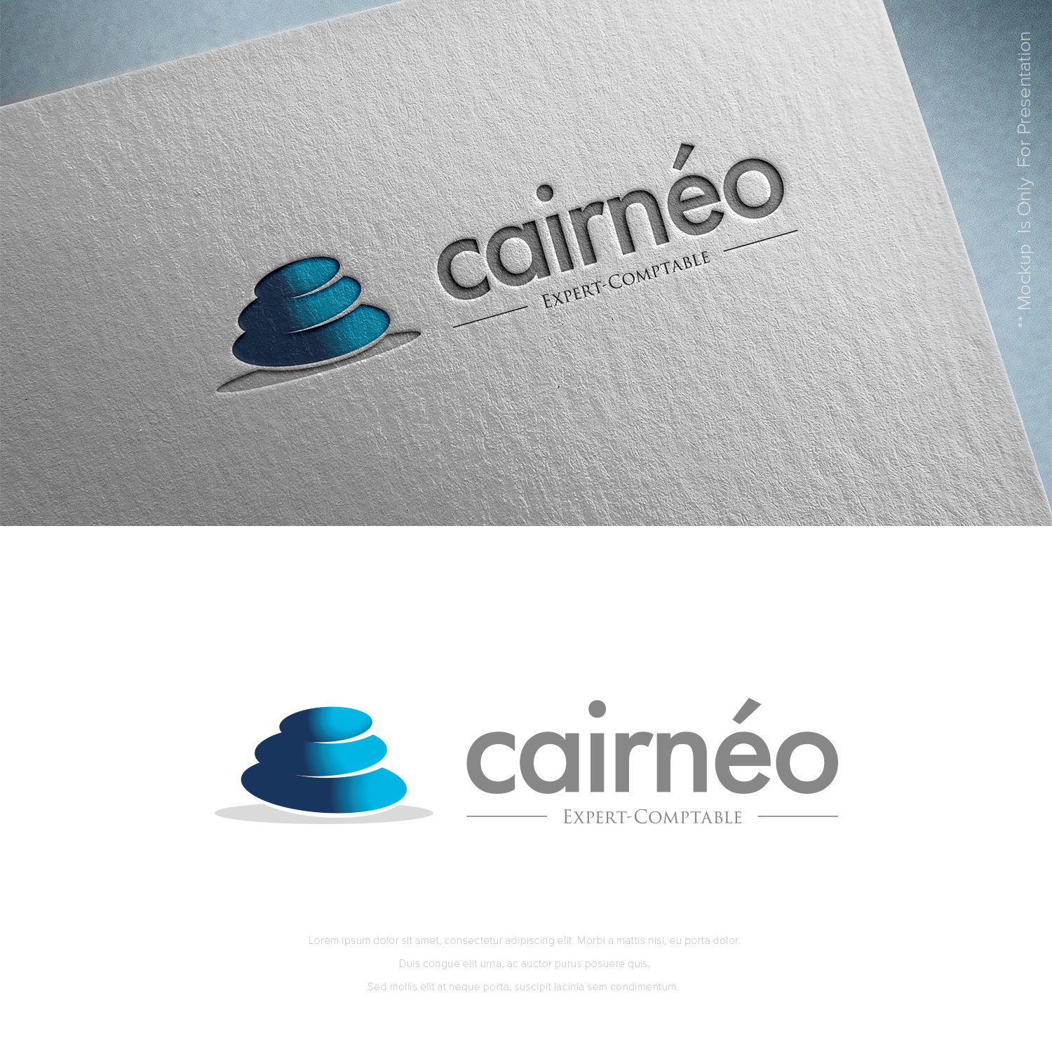 Logo Design by designbysy for CAIRNEO EXPERTISE | Design #23700844