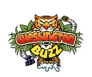 Logo Design by Jay Design