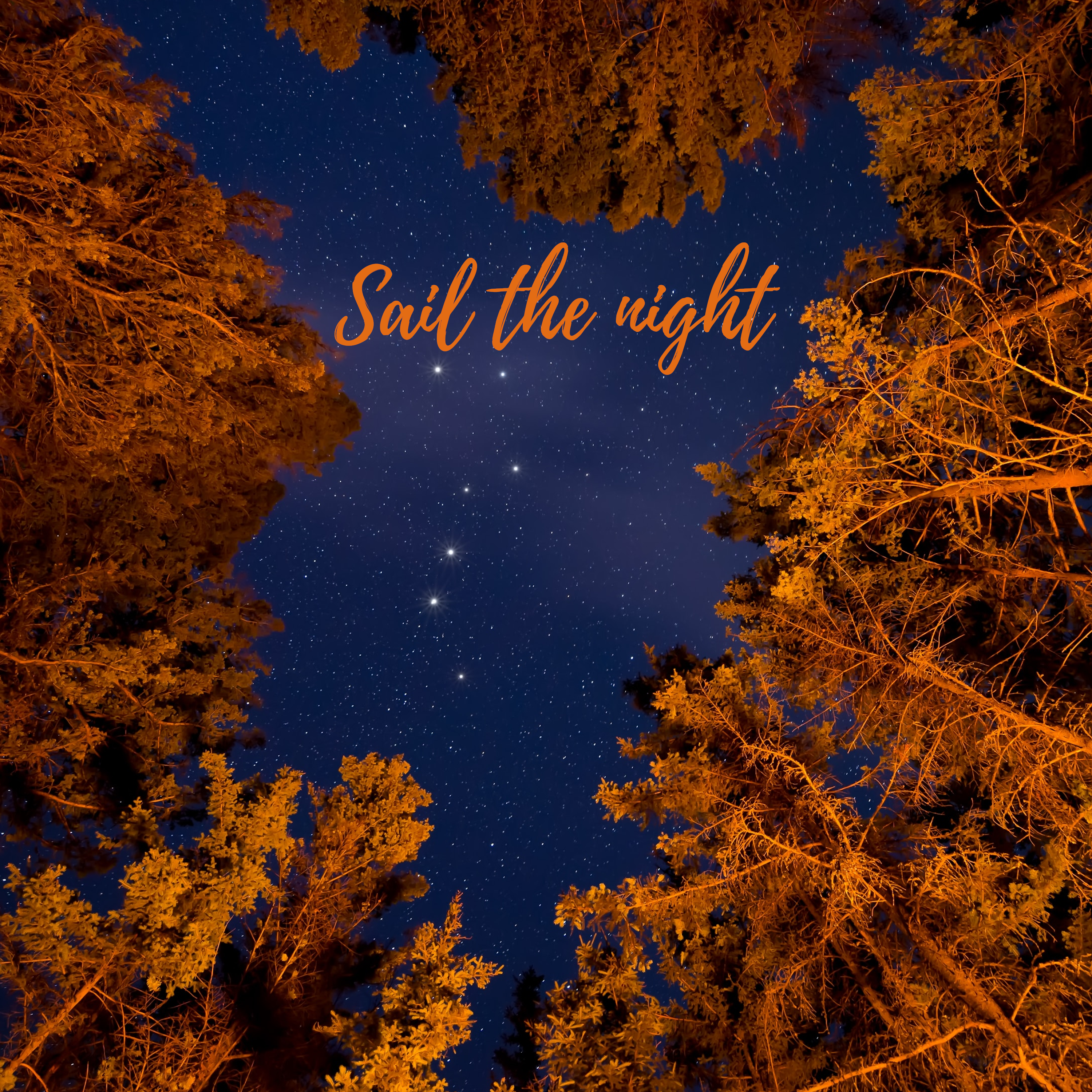 CD Cover Design by diana popescu for this project | Design #23681572