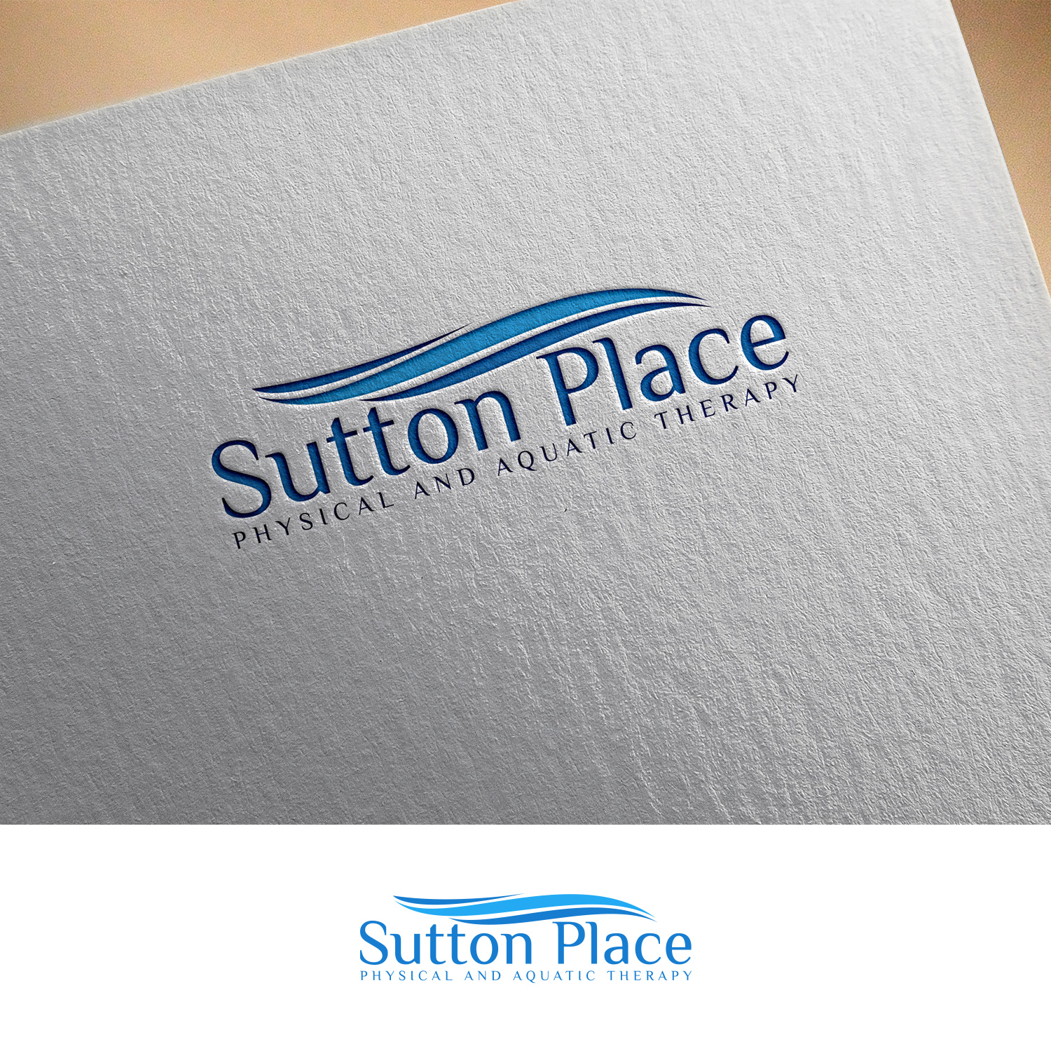 Logo Design by DesignDUO for Doubet Consulting | Design #23688729