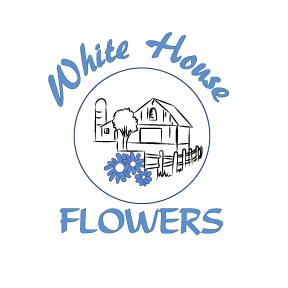 Logo Design by ckdesigns