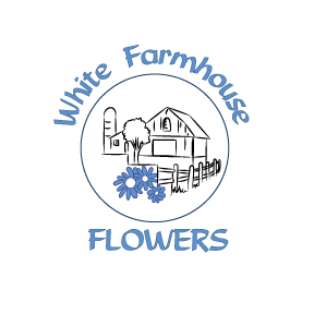 Logo Design by ckdesigns for Peppermint Twist LLC | Design #23674405
