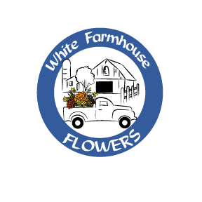 Logo Design by ckdesigns for Peppermint Twist LLC | Design: #23682375