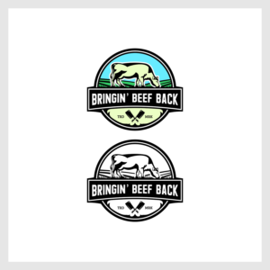 Logo Design by planes work