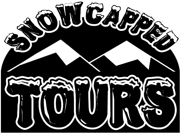 Design de Logo par Alex Guimaraes pour RyServ | Design #61923