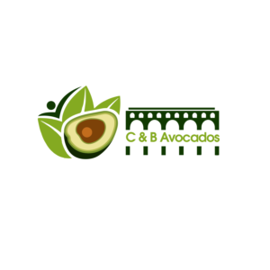 Logo Design by Graphic_Studio3