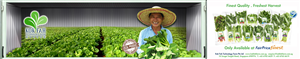 Label Design by Memorylane for this project | Design: #3984099