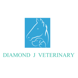 Logo Design by shijujames26