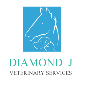 Logo Design by shijujames26 for Diamond J Veterinary Services | Design: #23745663