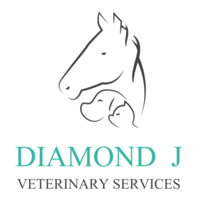 Logo Design by shijujames26 for Diamond J Veterinary Services | Design: #23745670