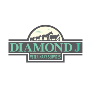 Diamond J Veterinary Services | Logo Design by Dennis Jackson Design