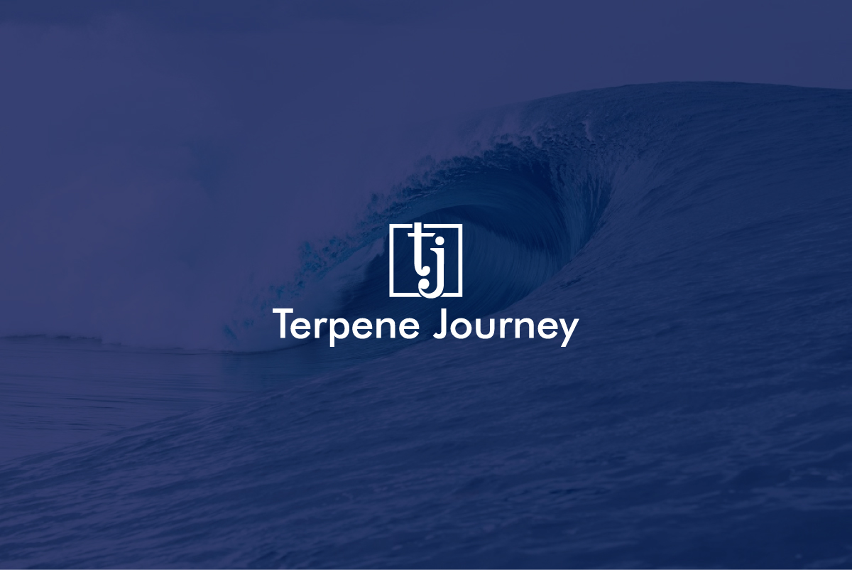 Logo Design by Synthi for this project | Design #23702395