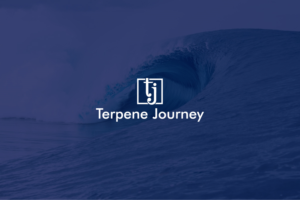 Logo Design by Synthi for this project | Design: #23702395