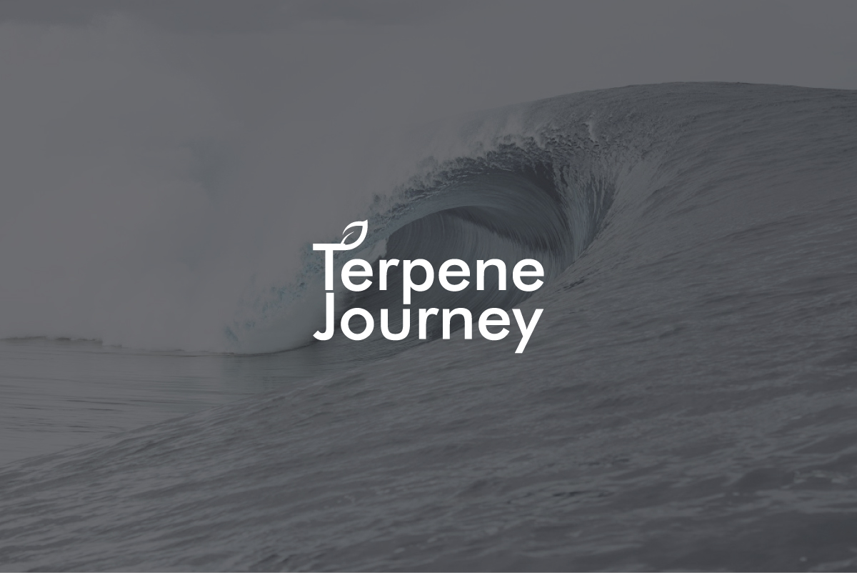 Design de Logo par Synthi pour ce projet | Design #23702396