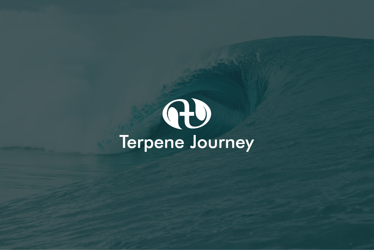 Logo Design by Synthi for this project | Design #23702398