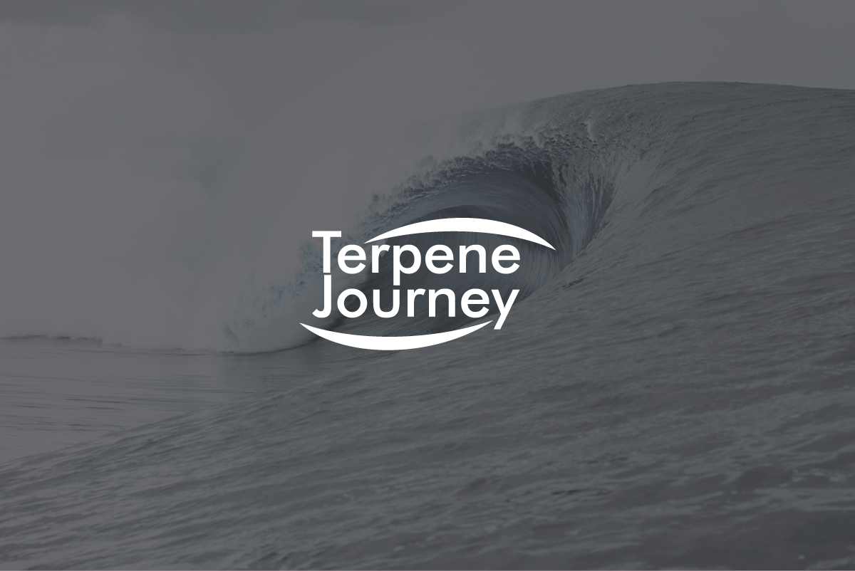 Design de Logo par Synthi pour ce projet | Design #23702399