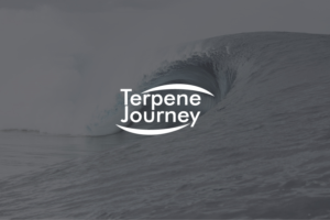 Logo Design by Synthi for this project | Design: #23702399