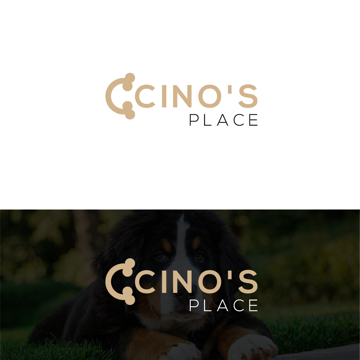 Diseño de Logo por Deziners Zone para este proyecto | Diseño #23710339