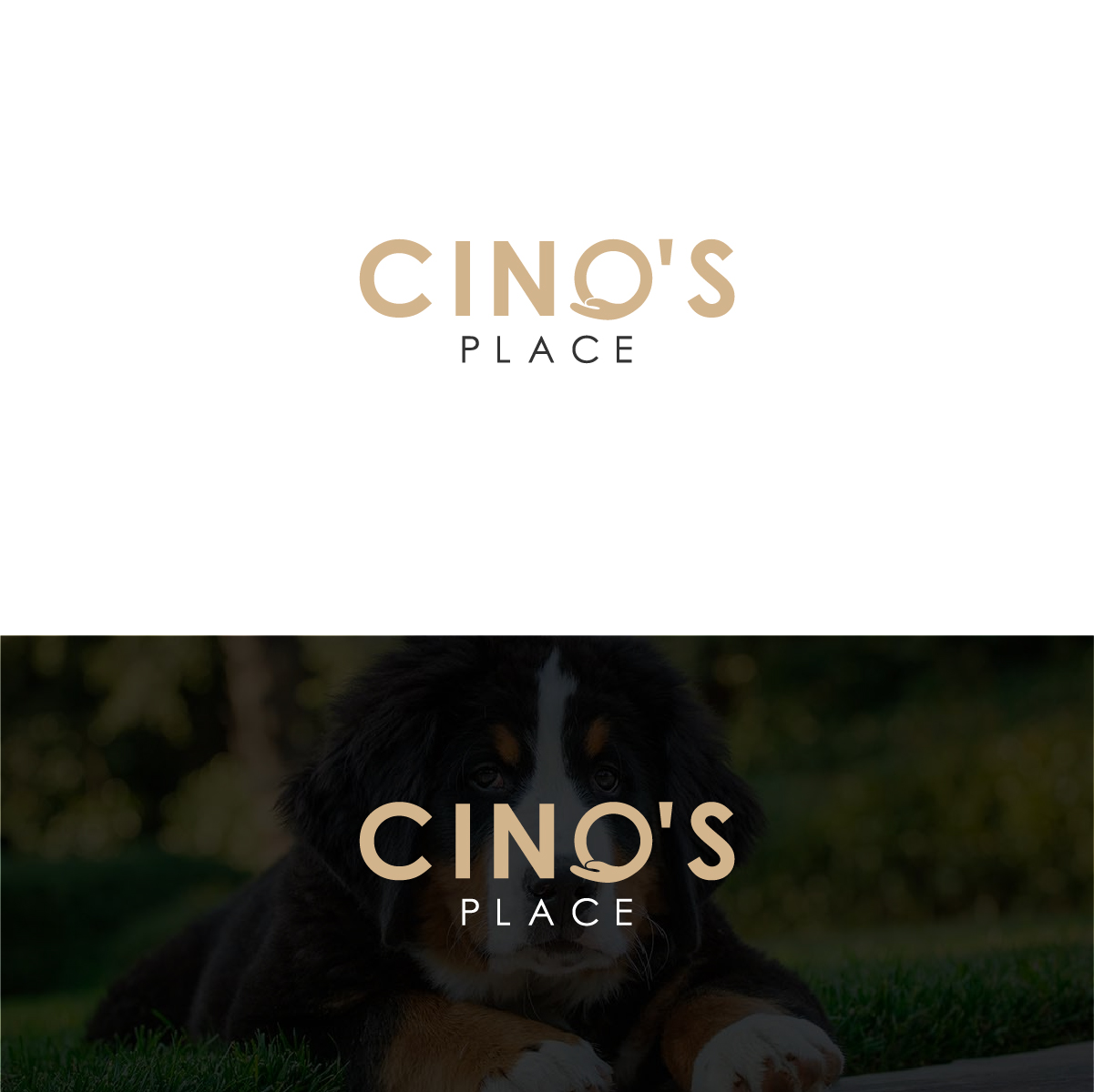 Diseño de Logo por Deziners Zone para este proyecto | Diseño #23710340