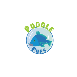 Logo-Design von beniwalsuman für dieses Projekt | Design: #23751006