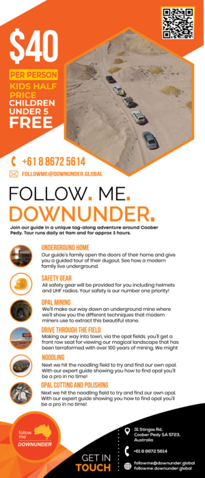 Flyer Design by HeshanKavinda for this project | Design: #23767951