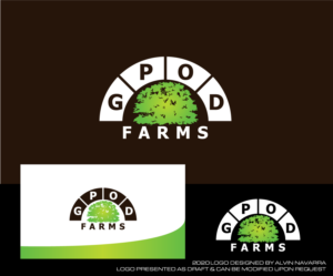 Logo Design by alvinnavarra for braidsthenovel.com | Design: #23733528
