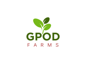 It needs to say gpod farms at a minimum, but would be nice to have the words micro greens if it doesn’t cause the logo to become too busy or if micro greens becomes hard to read. | Logo Design by R16