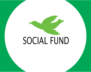 Diseño de Logo por Mahnoor para Social Fund | Diseño #767370