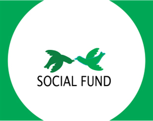 Logo Design by Mahnoor for Social Fund | Design: #767378