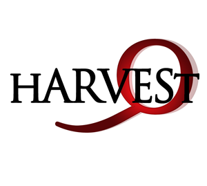 Logo Design by kanwal