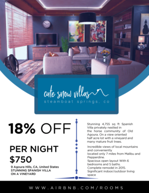 Flyer Design by Ron.IT