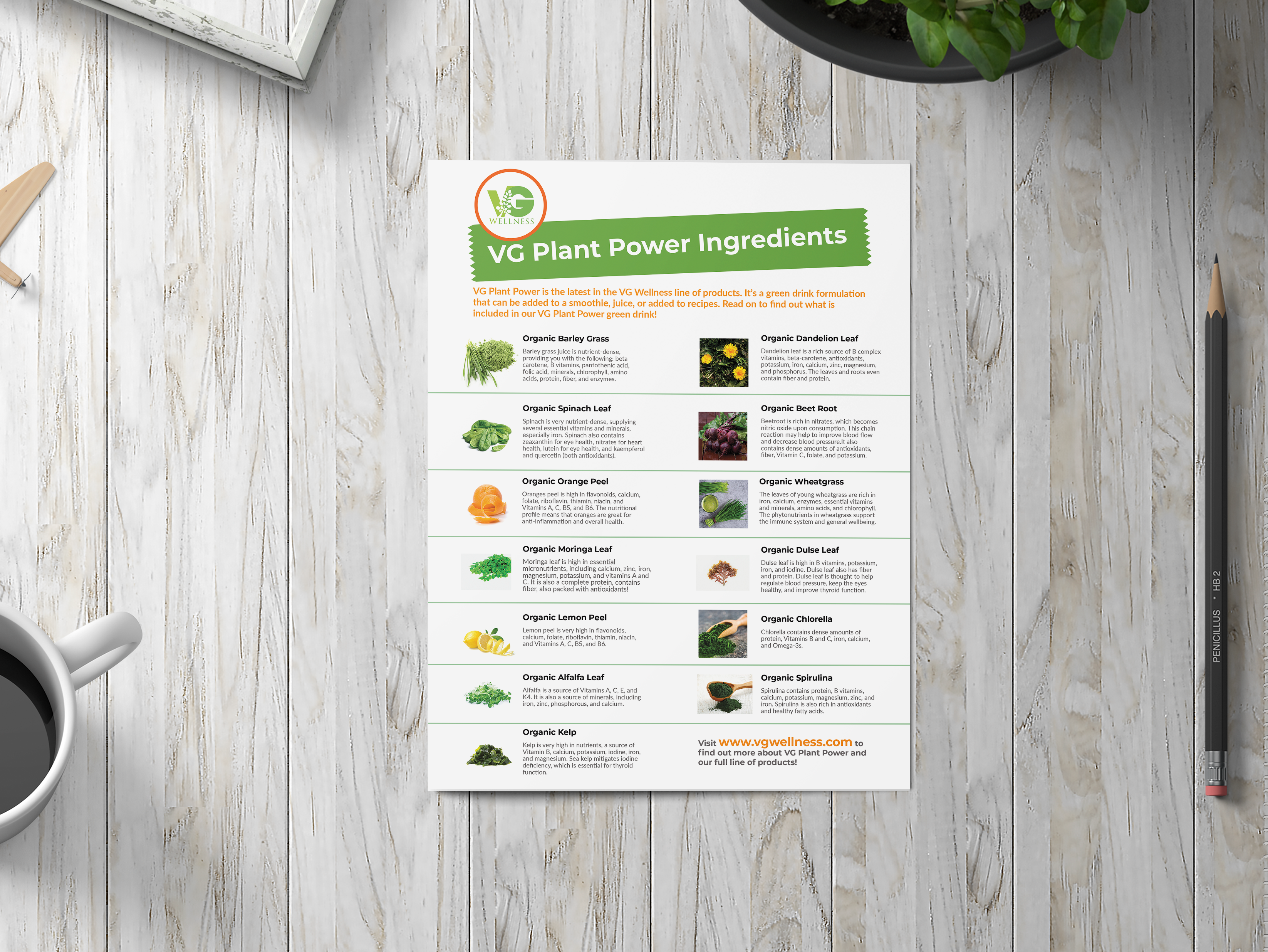 Design de Flyer par Rongbaaz pour VG Wellness LLC | Design #23738505